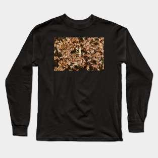 Orange Leaves On Mossy Green Grass Long Sleeve T-Shirt